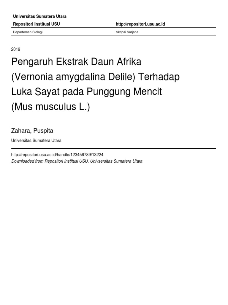 Pengaruh Ekstrak Daun Afrika (Vernonia Amygdalina Delile) Terhadap Luka ...