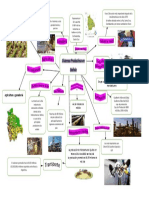 Mapa mental Sistemas productivos de Bolivia