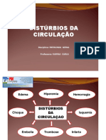 Disturbio_Circulatorio_II