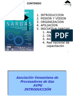Asociacion Venezolana de Procesadores de Gas PDF