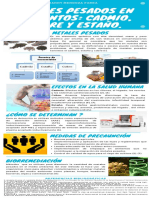 Infografia de Metales Pesados