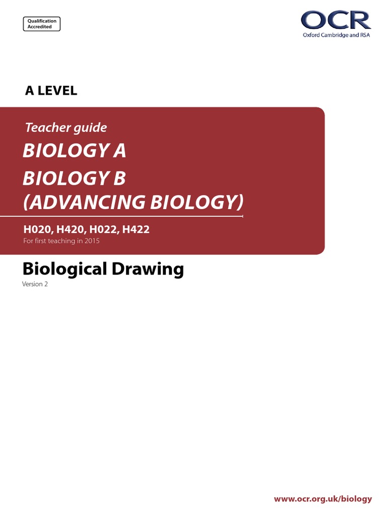 Biology Drawing Skills Handbook PDF PDF Heart Valve Nature