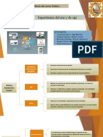 Importancia Del SNC y de La CGR