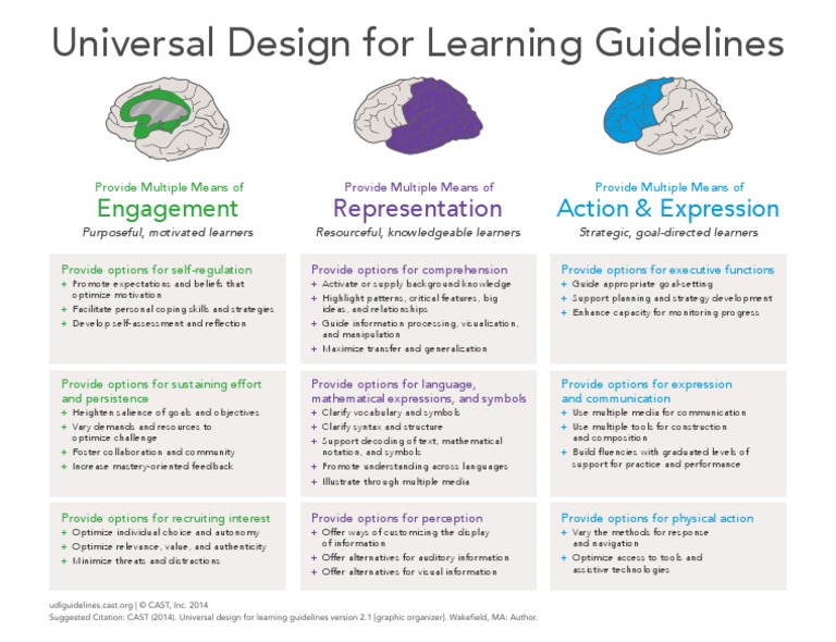 Udl Guidelines PDF Information Neuropsychological Assessment