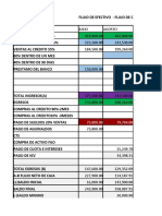 Hoja de Flujo de Caja Practica Dirigida