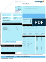 Factura PDF