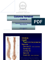 Clase Ib Columna Vertebral