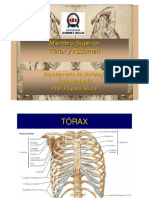 Clase III torax abdomen MMSS.pdf