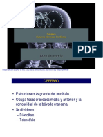 Neuro II PDF