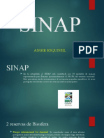 SINAP