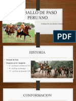 Caballo de Paso Peruano