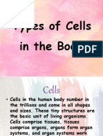 Types of Cells in The Body