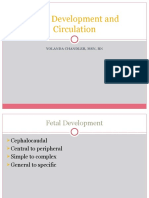 Development and Circulation of The Fetal
