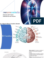 Neurociencia