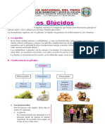 Los Glúcidos PDF
