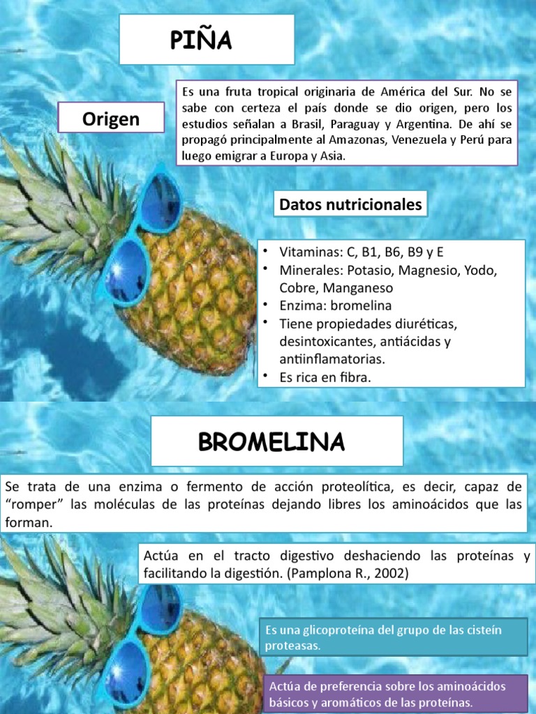 Bromelina PDF Piña Enzima