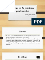 Etileno en la fisiología postcosecha de frutas y verduras