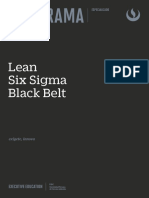 Lean Six Sigma Black Belt: Certificación y Proyecto de Mejora