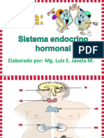 Sistema Endocrino