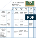 Cronograma de Exposición PDF
