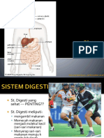 VIII-X ST Digestif PDF