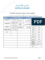 The Nouns in Arabic PDF