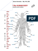 PARTS OF THE HUMAN BODY - MAY 14th