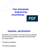 Precipitation Processes (Convective, Stratiform)