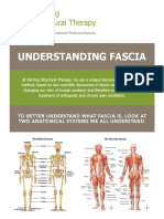 Understanding Fascia: To Better Understand What Fascia Is, Look at Two Anatomical Systems We All Understand