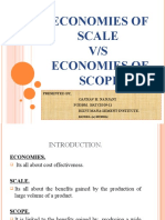 economiesofscopeandscale-091221104829-phpapp01