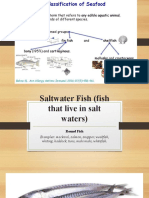 Classification of Seafoods