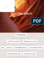 Sistem Saraf (FP)