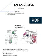 Kelompok 3 (Sistem Lakrimal)