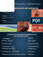 Vectores de Enfermedades Metaxenicas Control-Artropodos