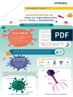 s14 Sec 2 Infografia Conociendo Sobre Los Virus Dia 3