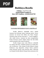 Download Budidaya Rosella by Ridho_Mursalim_3402 SN46899834 doc pdf