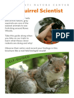 Be A Squirrel Scientist: Cincinnati Nature Center