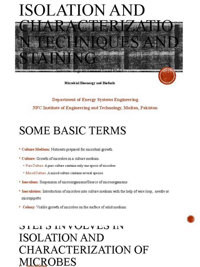 Isolation and Characterization Techniques | PDF | Staining | Dye