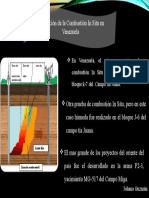 Combustion in Situ Explotacion