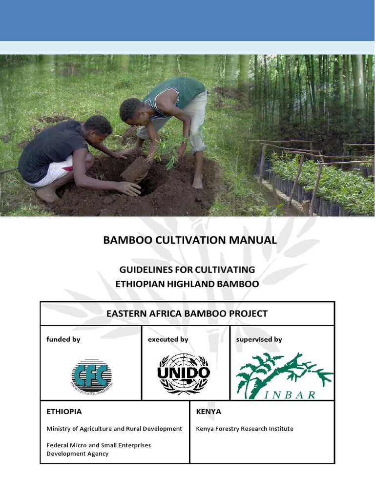 Bamboo Cultivation Manual: Guidelines FOR Cultivating Ethiopian ...