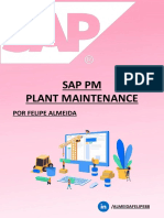 SAP PM MAINTENACE.pdf