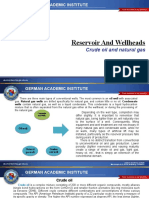 Reservoir and Wellheads: Crude Oil and Natural Gas