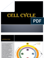 Cell Cycle - Copy