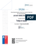 Diploma Trabajo en Equipo