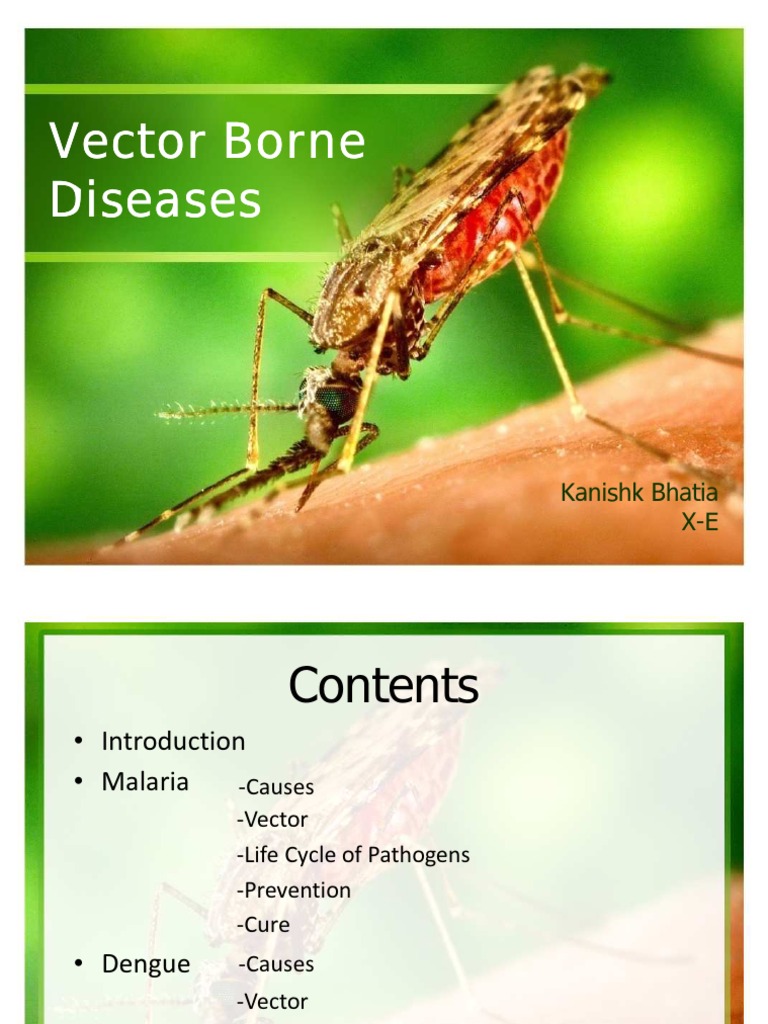 Vector Borne Diseases | PDF | Plasmodium | Malaria