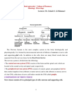 3 Nervous System Lec3