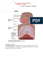 Histology of the Respiratory System