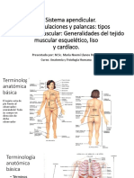 Teoria4 5 6 Anatomiayfisiologia Finalisismo PDF