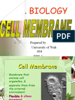 Cell Biology: Prepared by University of Wah 004 BBS-1
