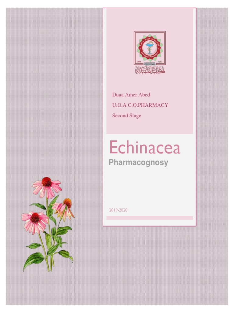 Echinacea PDF Common Cold Allergy